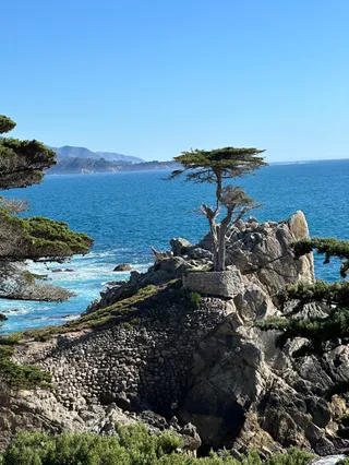Big Sur Adventures, 17 Mile Drive