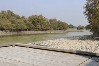 Floating Platform