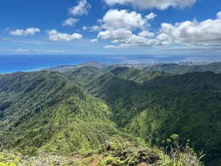 Honolulu Watershed Forest Reserve