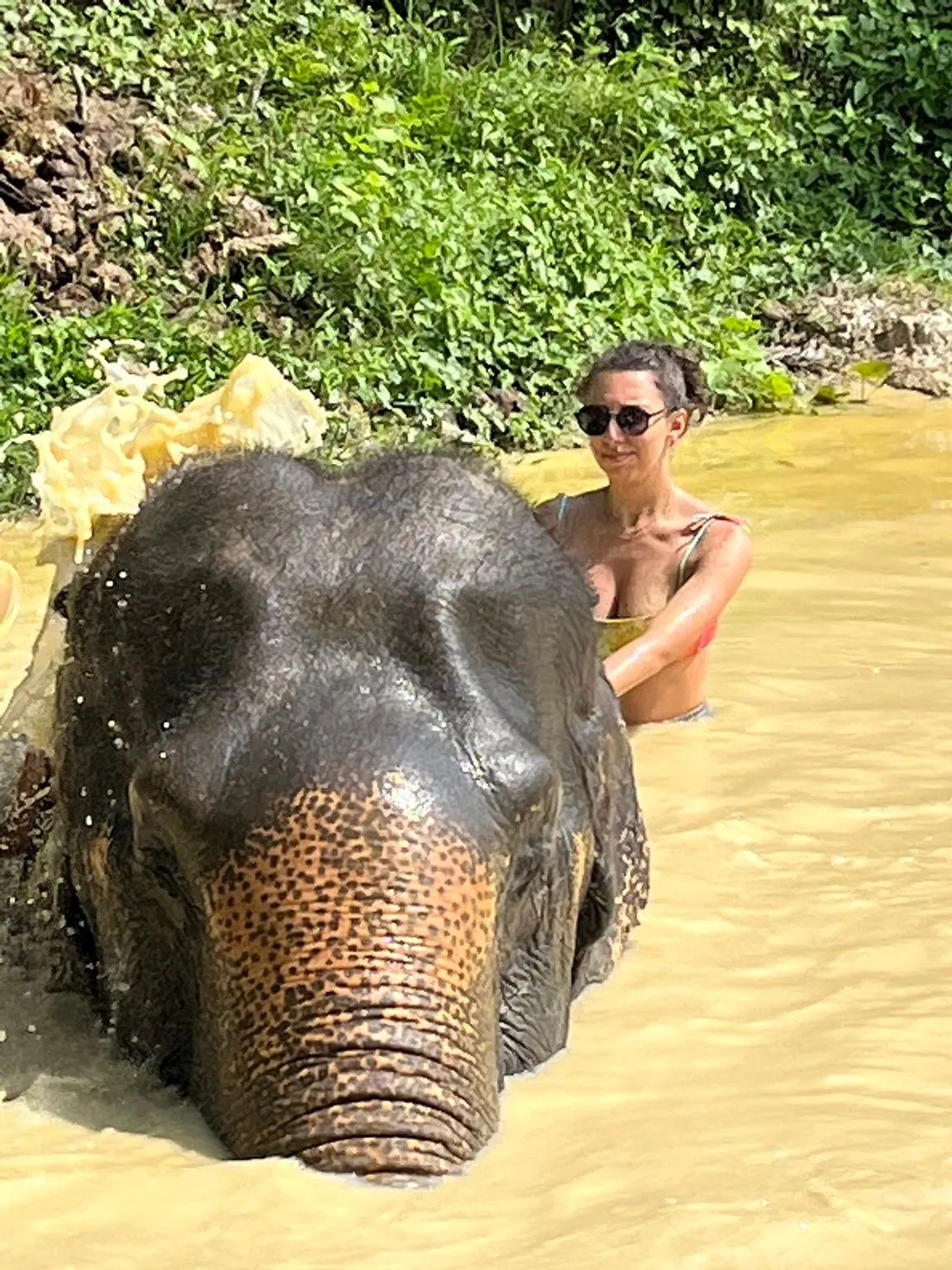Lanta Elephant Sanctuary