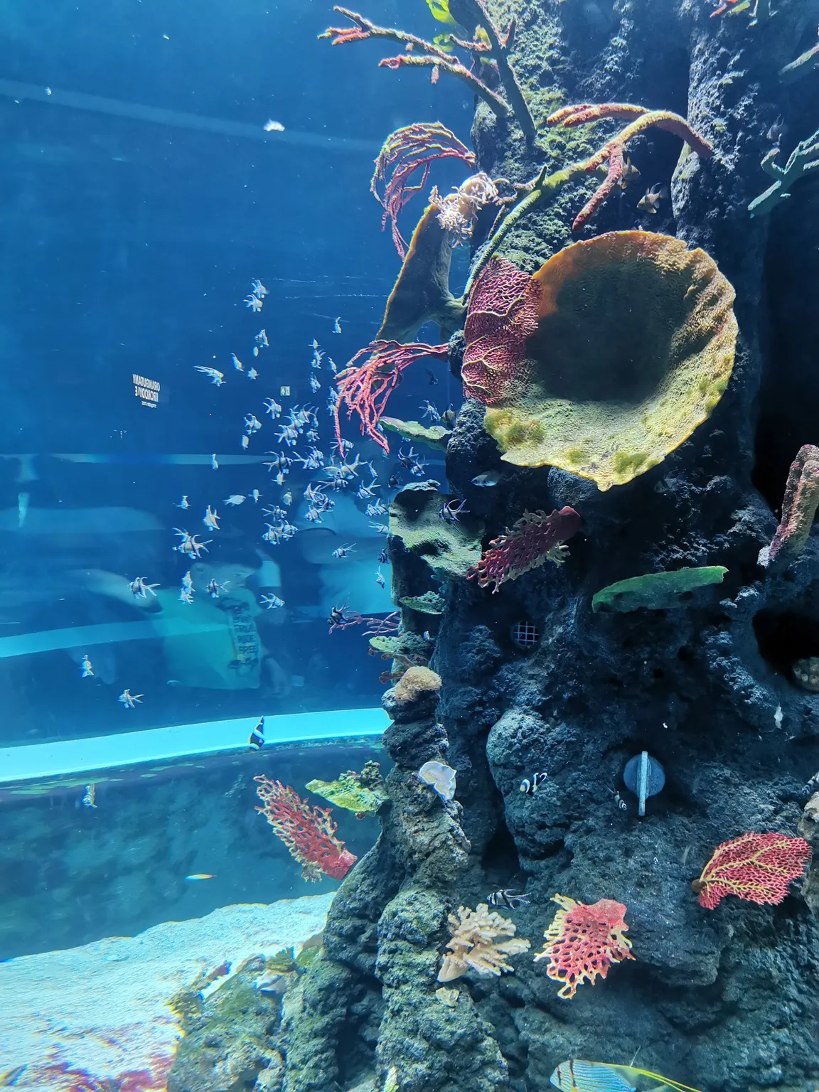 Orientarium ZOO Łódź