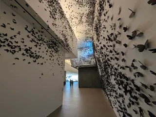 Phoenix Art Museum