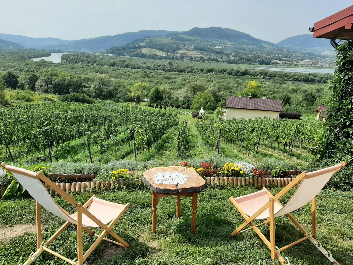 Winnica Gródek
