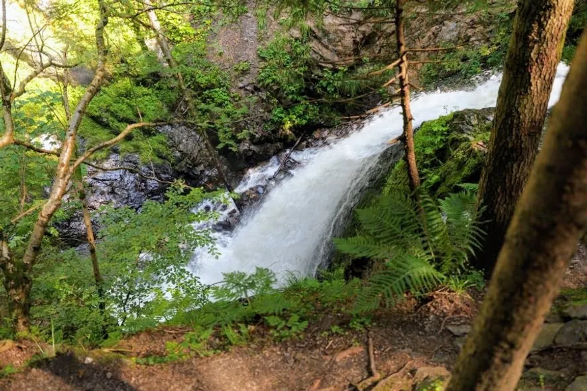 Ravenna Gorge