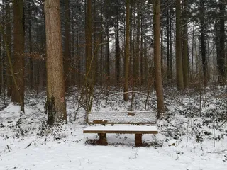 Erholungswald - Aspenloch und Lohwald