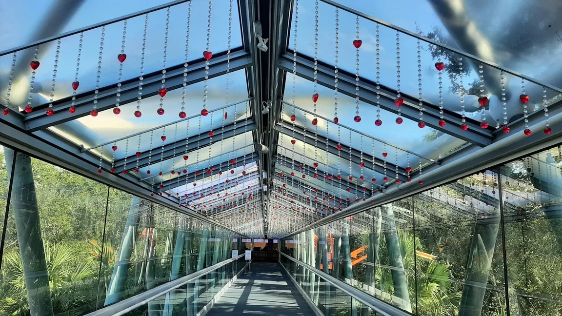 Orlando Science Center