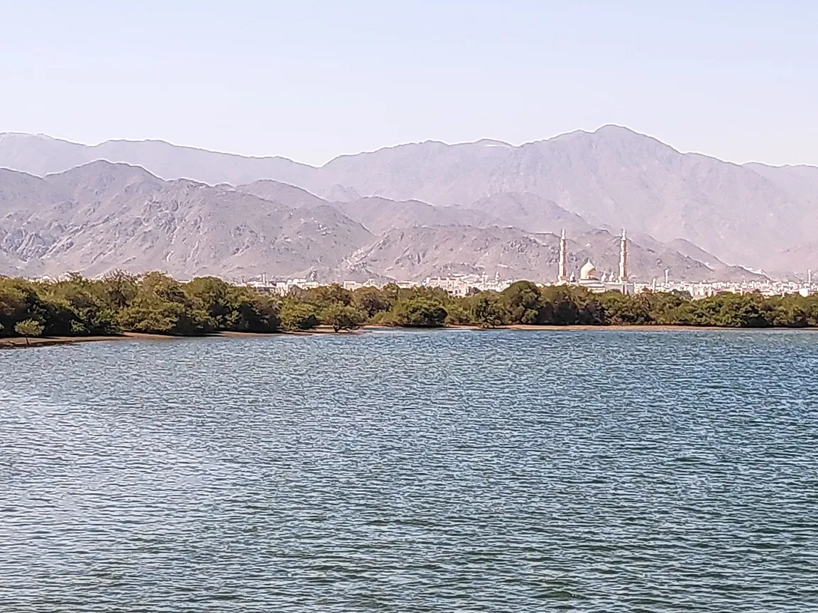 Khor Kalba Mangrove Centre