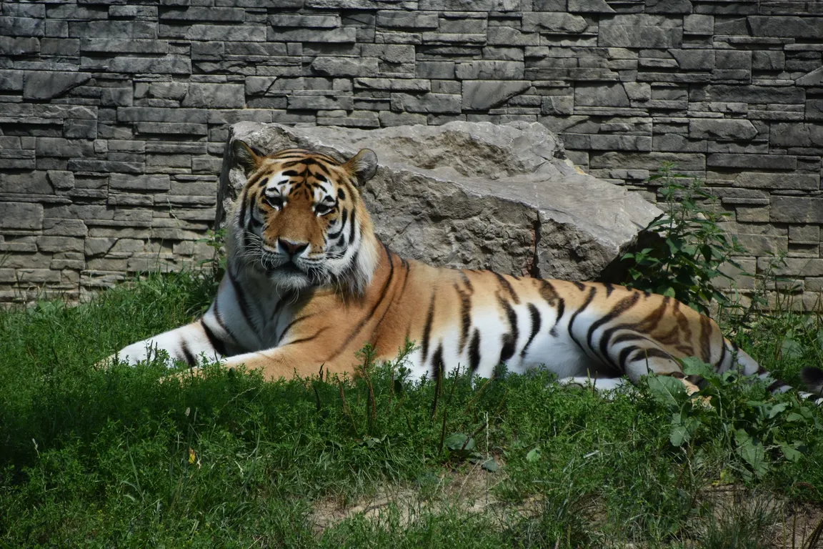 Ogród Zoologiczny w Krakowie