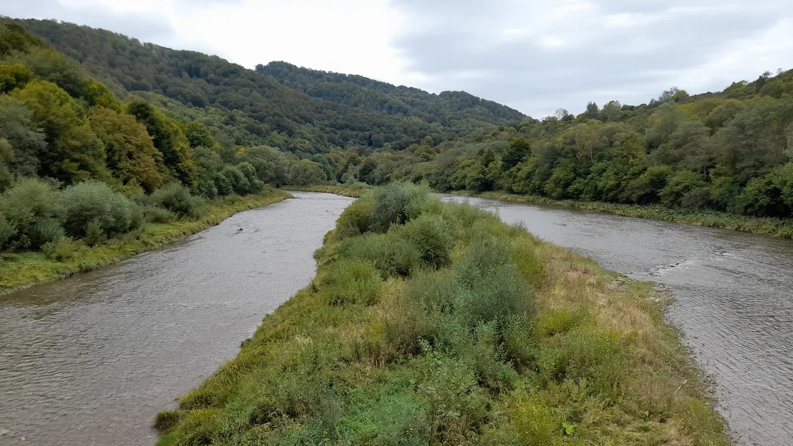 Krywe Rezerwat Przyrody