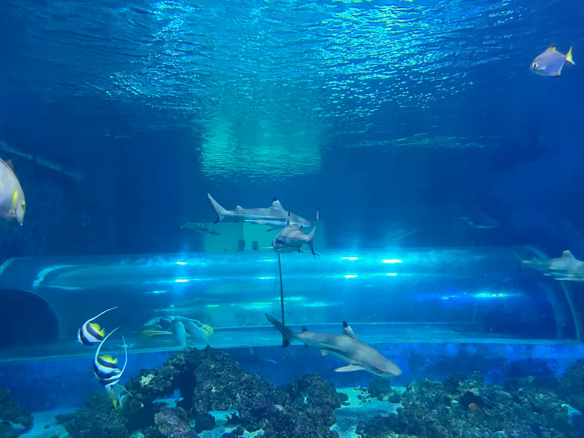 Aquapark Reda