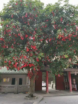 Gui Fengshan Scenic Area