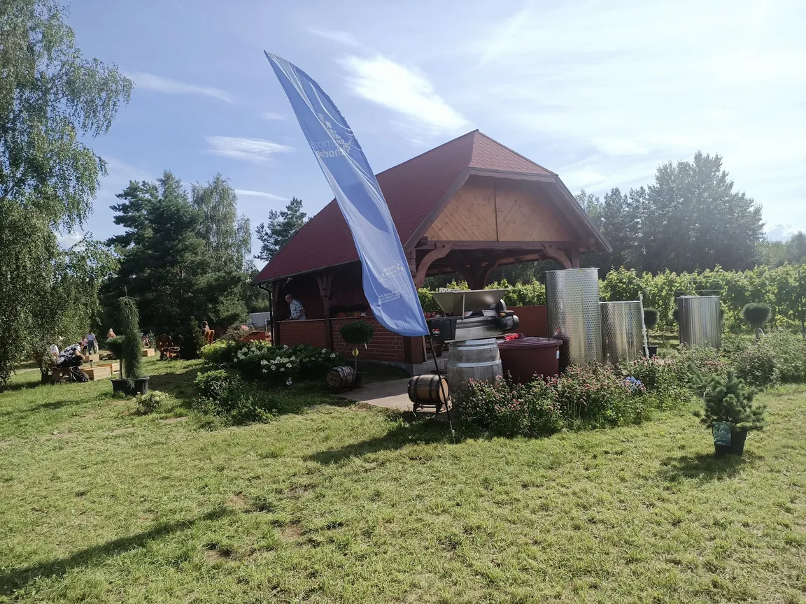Winnica Binowo. Wina z Puszczy Bukowej