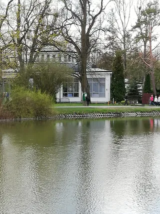 Pokarm dla kaczek
