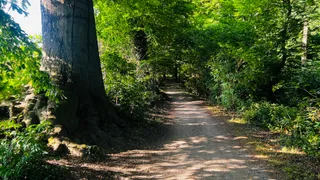 WERSE Wanderweg
