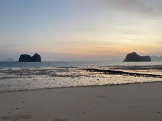 View Point