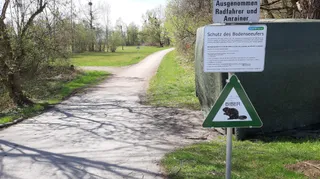 Uferwanderweg Lindau