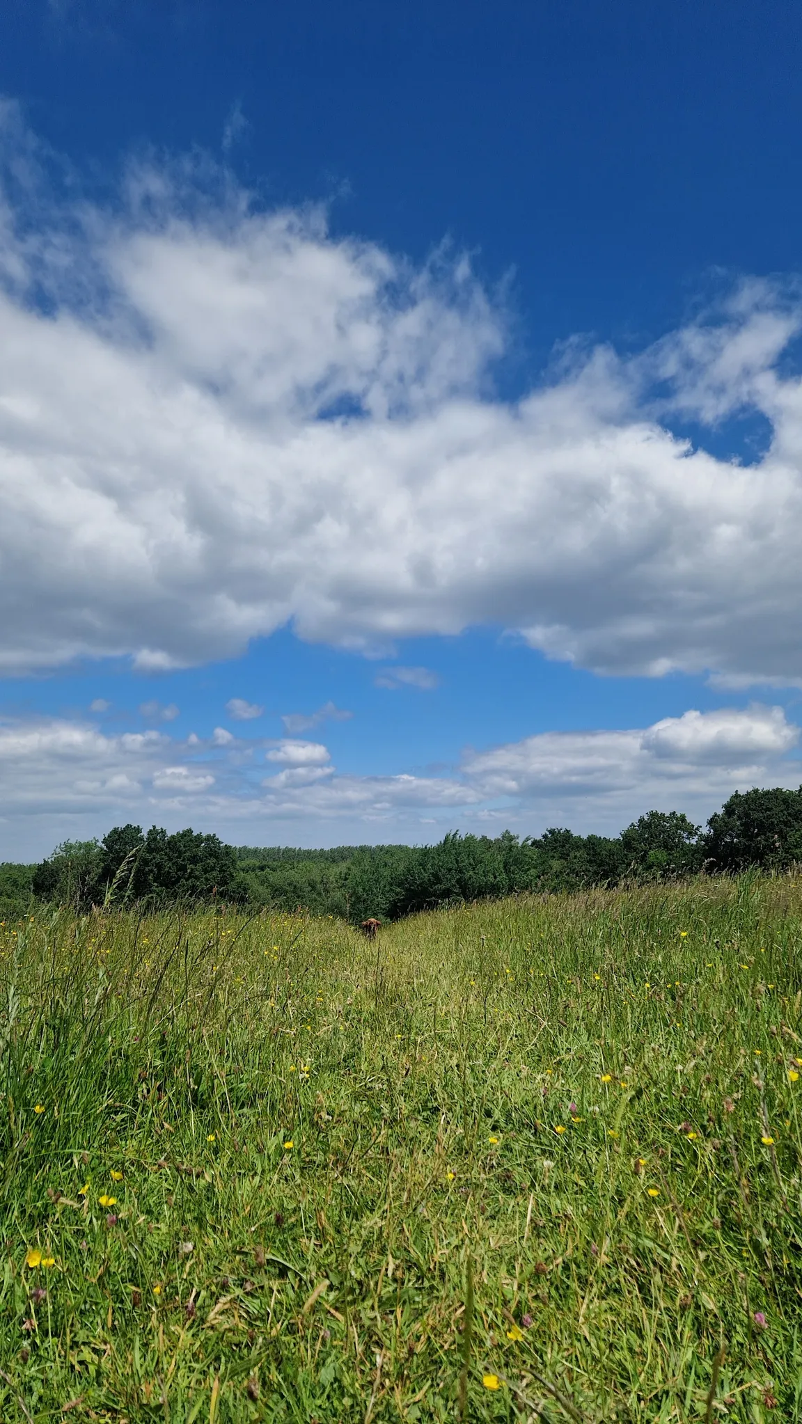 Itchen Valley Country Park