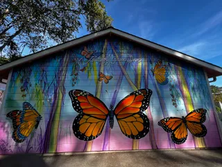 Monarch Butterfly Sanctuary