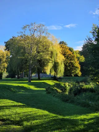 Gostrey Meadow