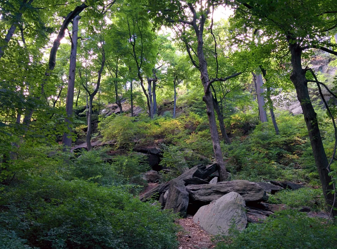 Inwood Hill Park