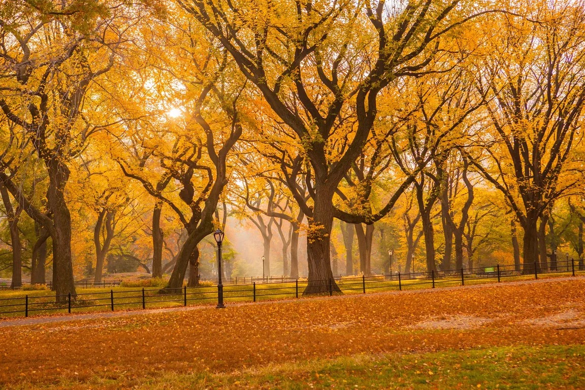 The Mall and Literary Walk