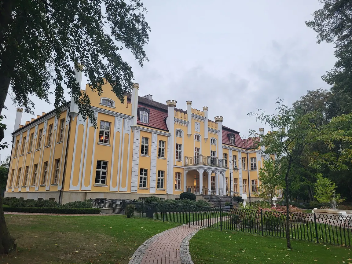 Biały Królik