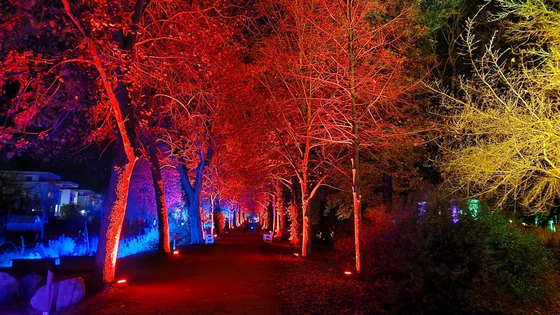 Oranienburger Lichterzauber