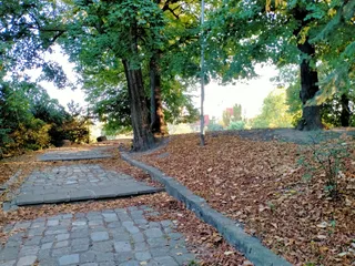 Wybieg dla psów