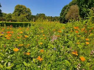 Sir Thomas and Lady Dixon Park