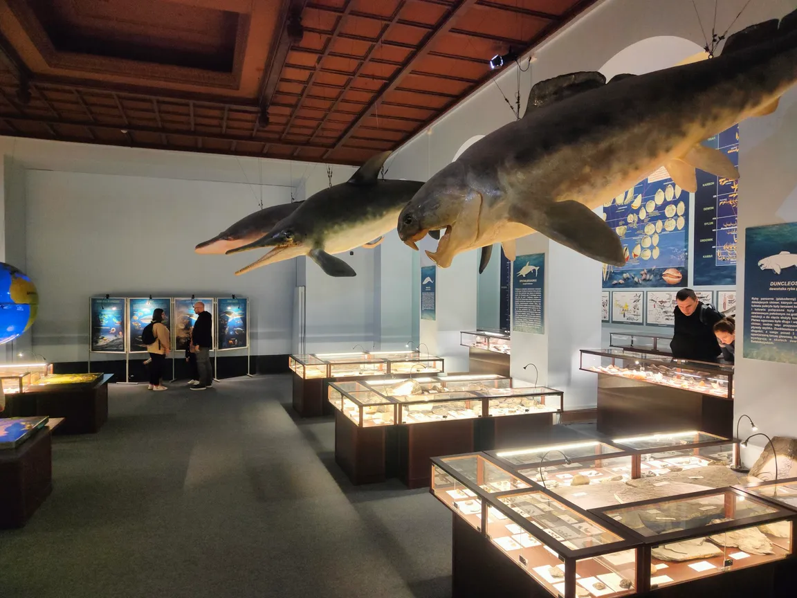 Muzeum Ewolucji w PKiN