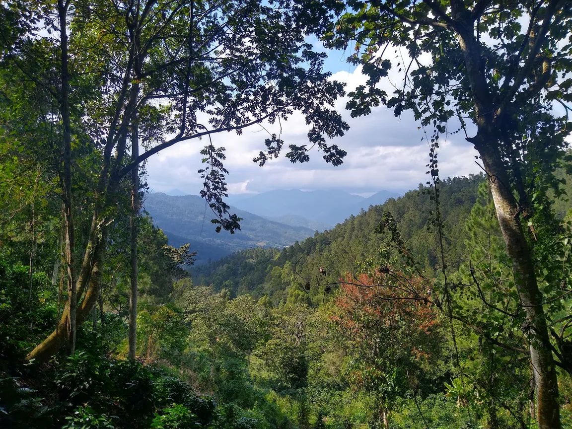 Spirit Mountain