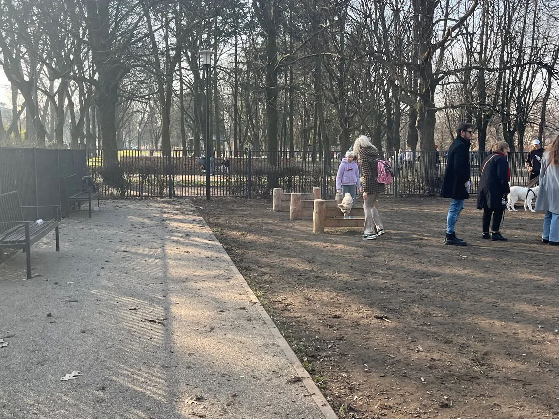 Wybieg dla psów