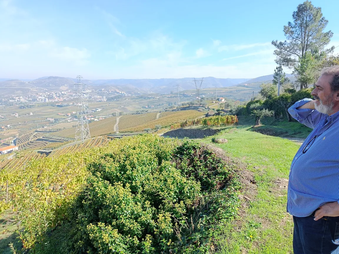 Quinta do Mourão