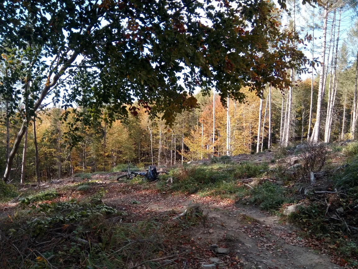 Singletrack Glacensis Pętla Łaszczowa