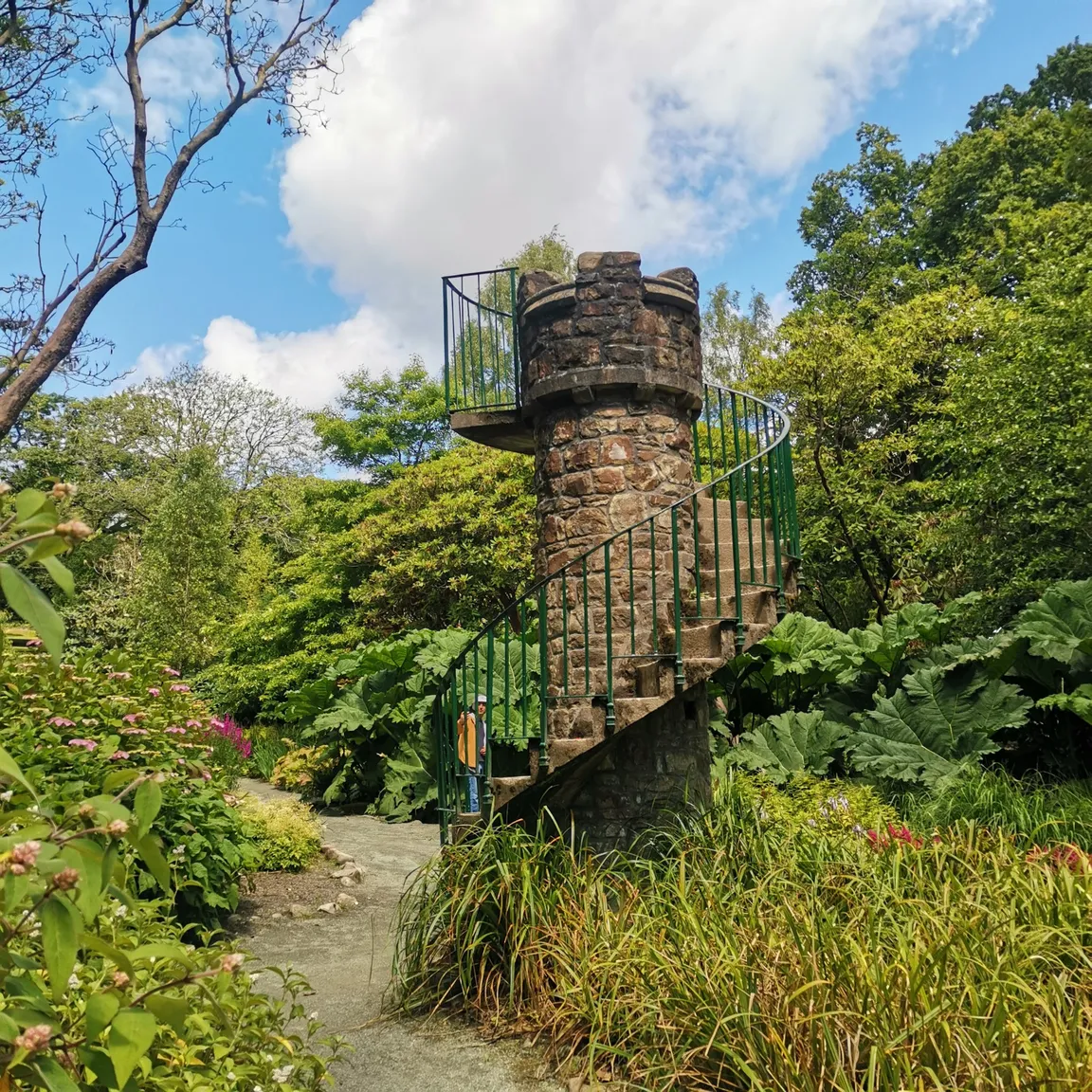 Clyne Valley Country Park