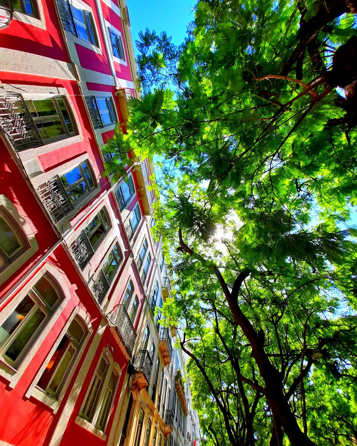 Rua Verde
