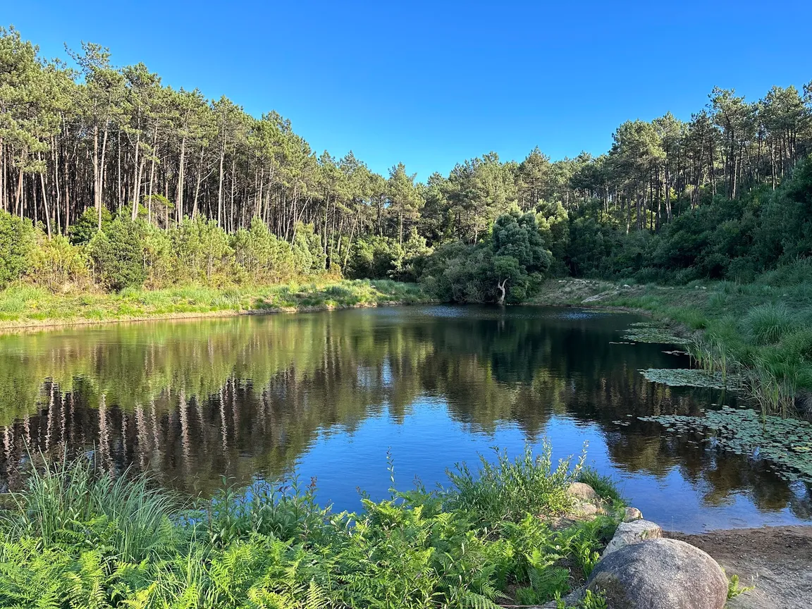 Lagoa dos Mosqueiros