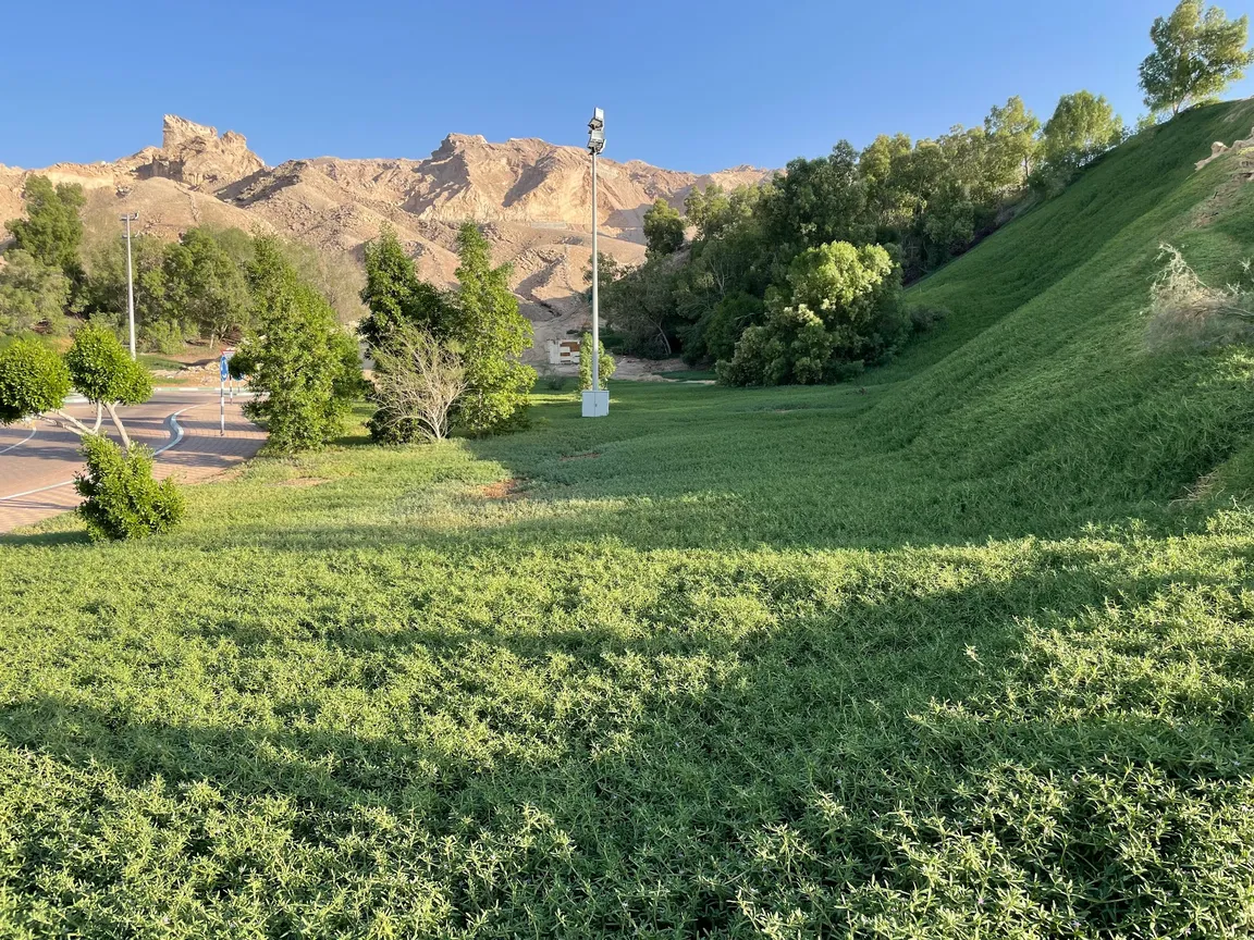 Jebel Hafeet Park