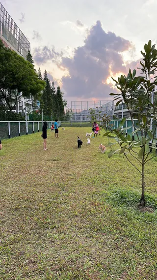 Dog Run @ Segar Close / Segar Palmview
