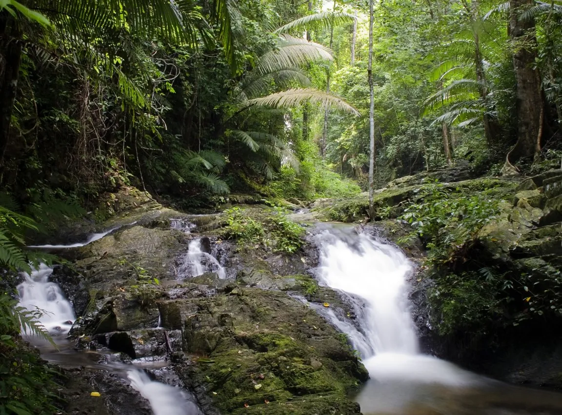 Khao Phanom Bencha National Park