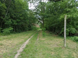 Wegestern im Wild Park