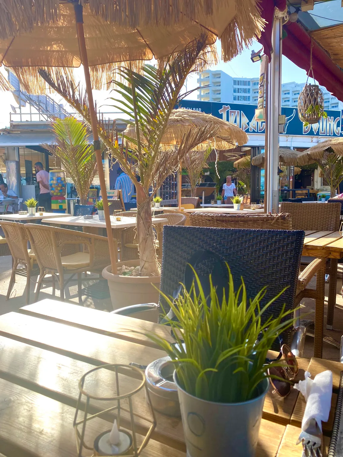 Tribal Lounge beach bar and restaurant