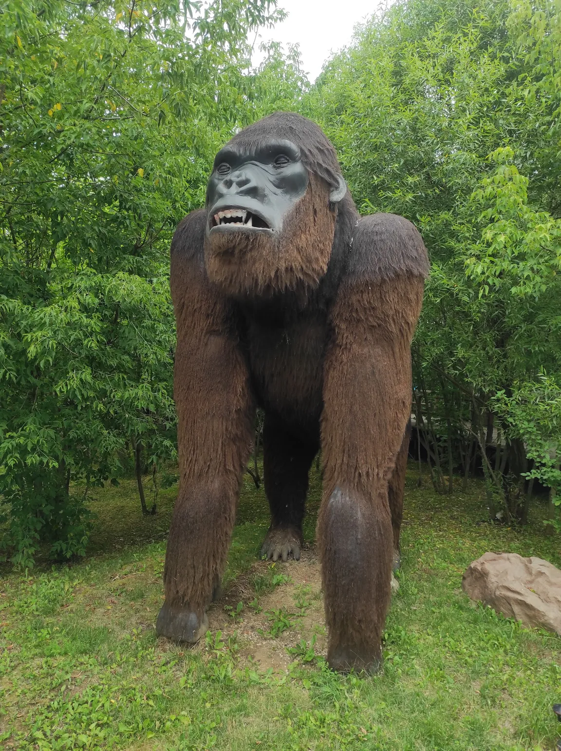 Dino Park