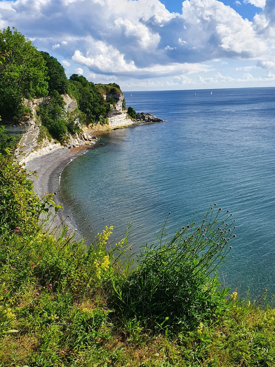 Stevns Klint