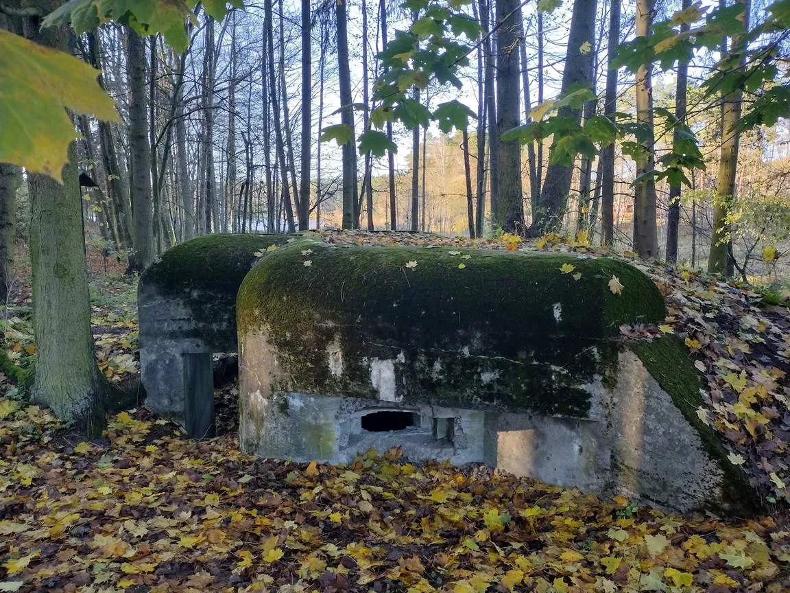 Brodnicki Park Krajobrazowy