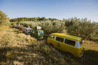 Matej Lisjak ekstra deviško oljčno olje - Extra virgin olive oil LISJAK - Oljarna LISJAK