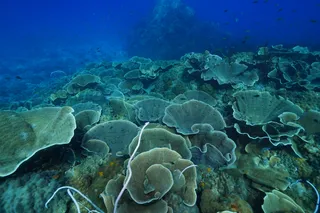 BB Divers PADI dive center