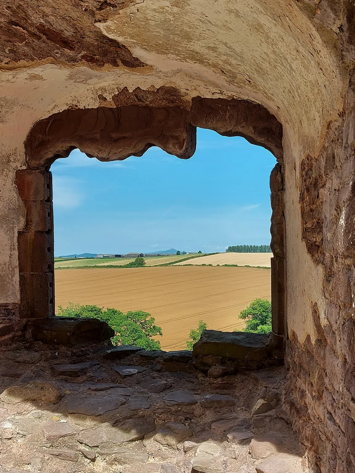 Castell Rhaglan / Raglan Castle
