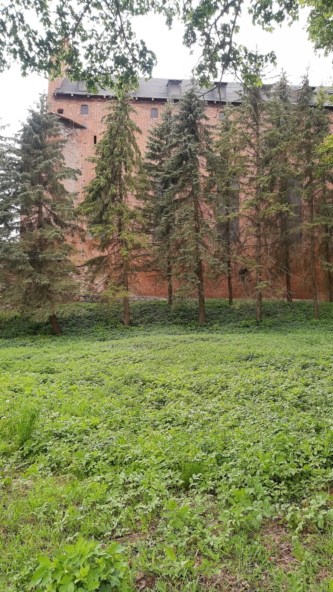 Zamek krzyżacki w Barcianach