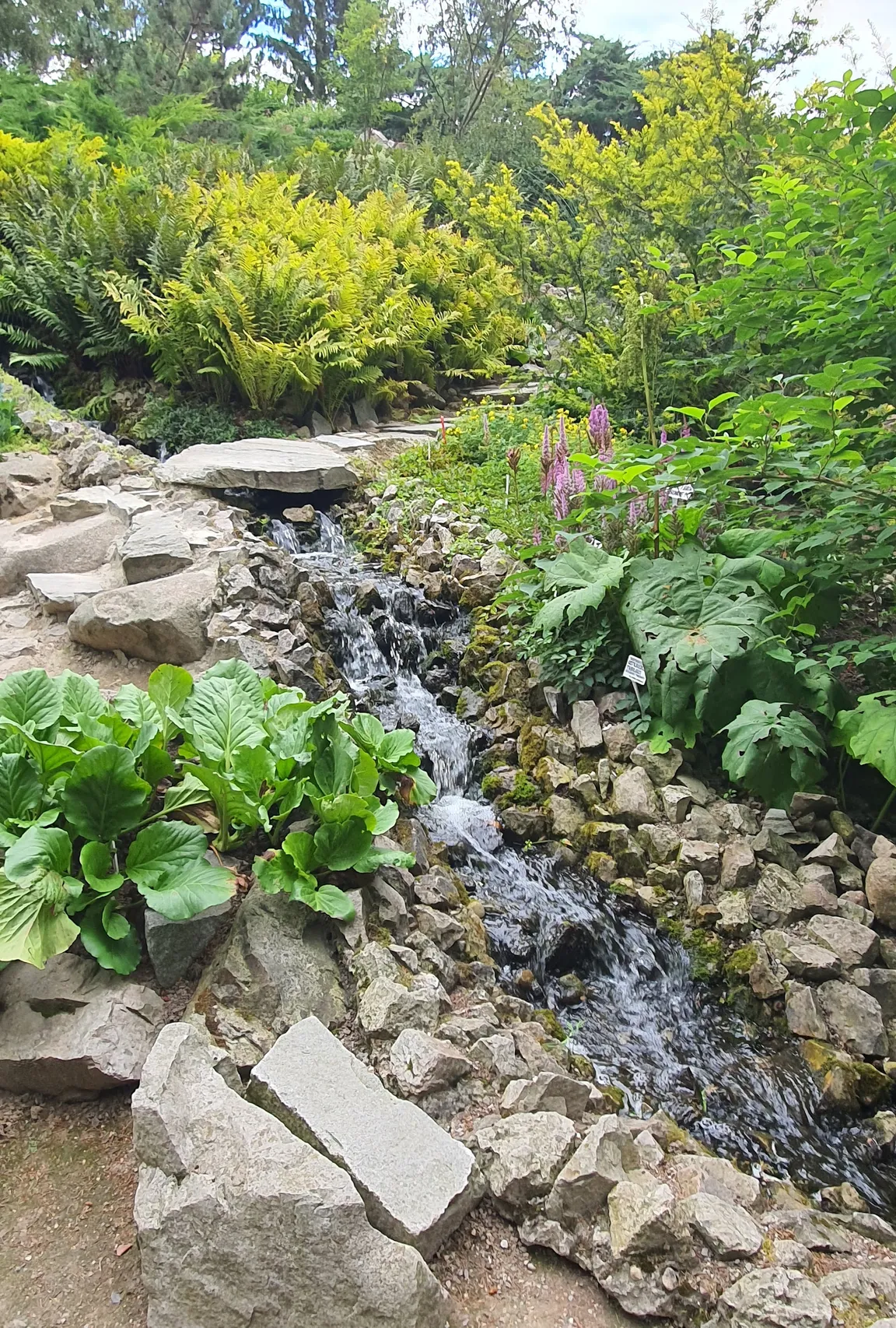 Ogród Botaniczny UMCS